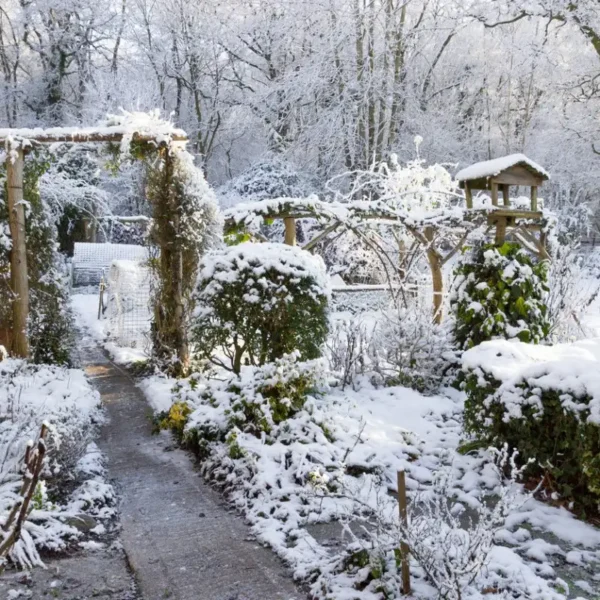 Wintergarten-Pflege: Diese 10 Fehler solltest du vermeiden