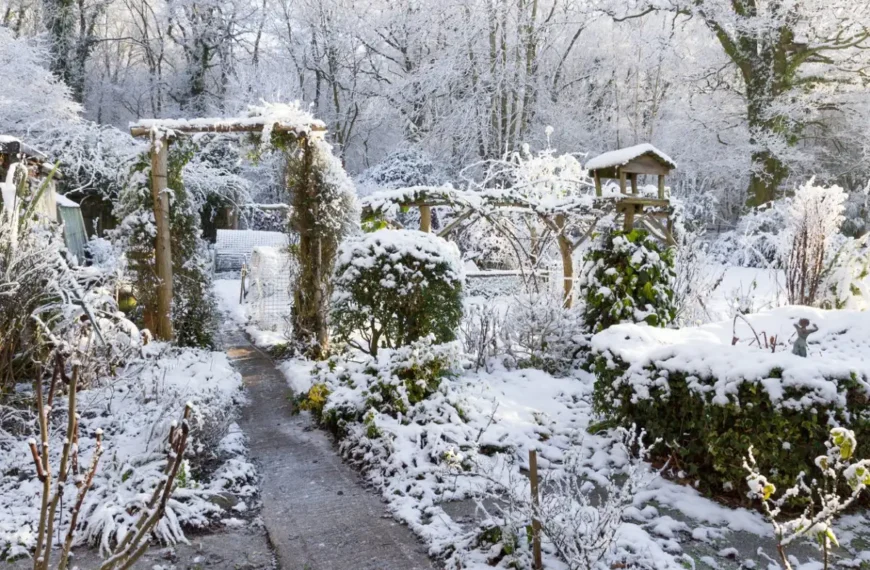 Wintergarten-Pflege: Diese 10 Fehler solltest du vermeiden