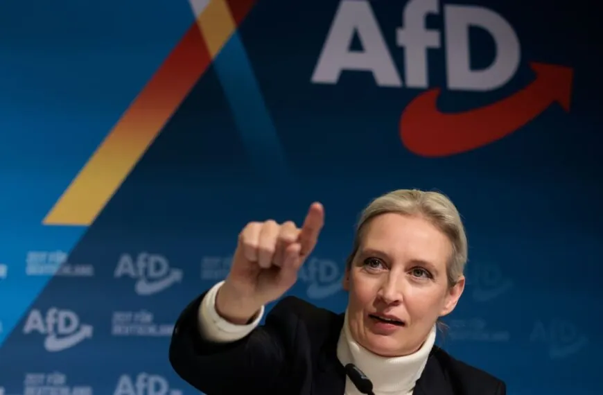 Kann die AfD wirklich die Bundestagswahl gewinnen? Experten warnen vor einem politischen Erdbeben!