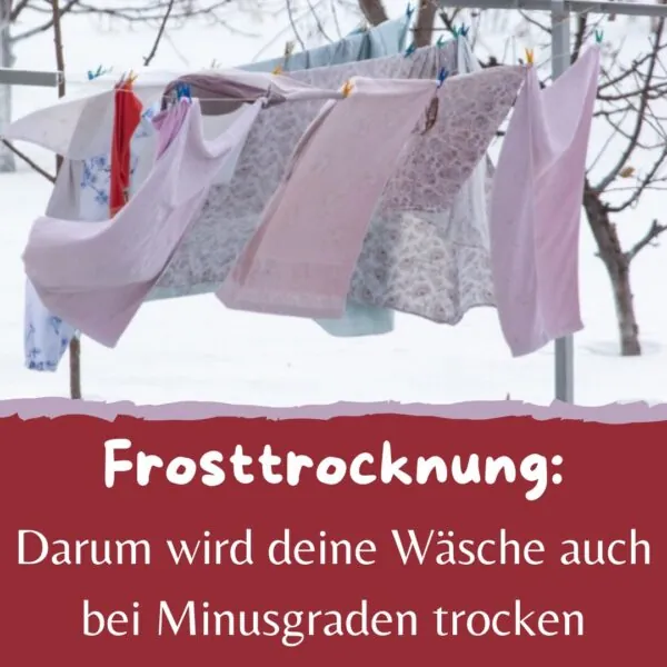 EISKALTE TROCKNUNG: WARUM DU DEINE WÄSCHE IM WINTER DRAUSSEN TROCKNEN SOLLTEST!