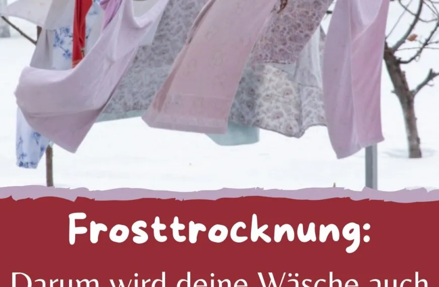 EISKALTE TROCKNUNG: WARUM DU DEINE WÄSCHE IM WINTER DRAUSSEN TROCKNEN SOLLTEST!