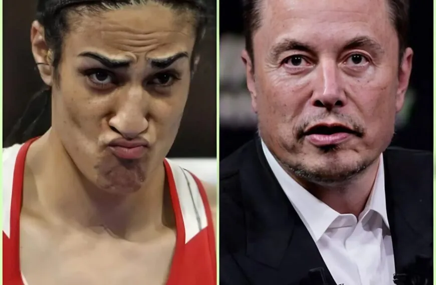 Elon Musk droht mit Sponsoring-Stopp: WBO in der Krise wegen Imane Khelif