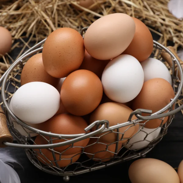 Das Ende der braunen Eier? Supermärkte stellen Sortiment um – Millionen Kunden betroffen