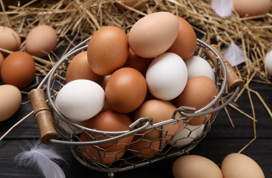 Das Ende der braunen Eier? Superm&auml;rkte stellen Sortiment um &ndash; Millionen Kunden betroffen