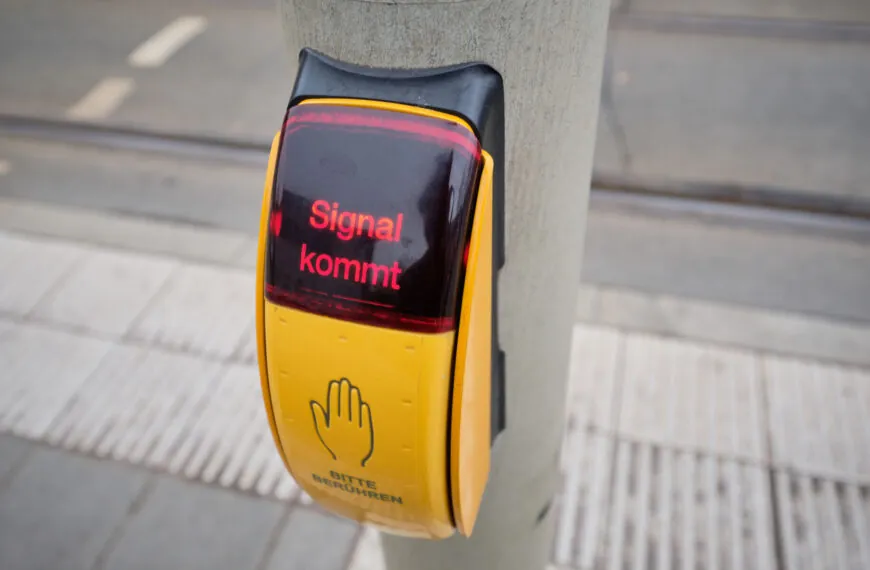 GEHEIMER KNOPF AN AMPELN: DAS KANN ER WIRKLICH – DIE MEISTEN WISSEN ES NICHT!