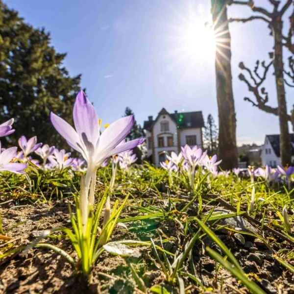 Fr&uuml;hling 2025 in Deutschland: Wird es ein Wetter-Traum oder droht ein K&auml;lte-Schock?