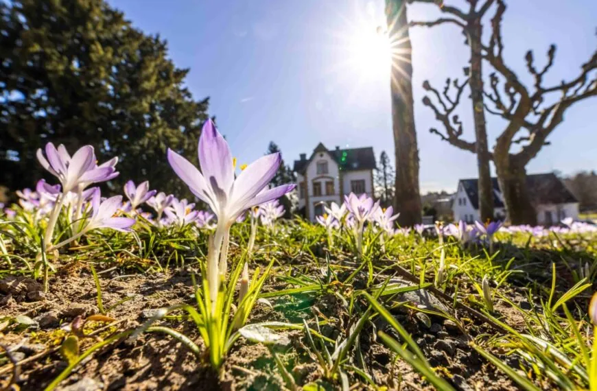 Fr&uuml;hling 2025 in Deutschland: Wird es ein Wetter-Traum oder droht ein K&auml;lte-Schock?