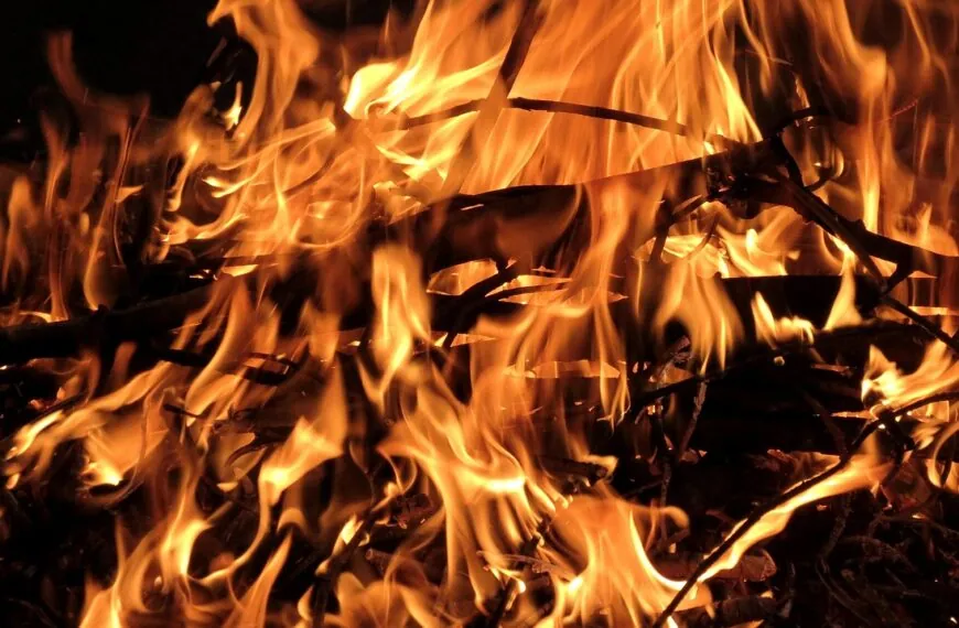 Schockierend! Diese 7 Holzarten k&ouml;nnen beim Verbrennen deine Gesundheit gef&auml;hrden