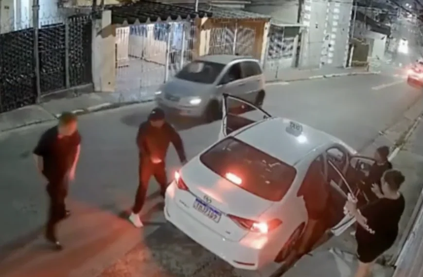 Mutter setzt Pitbull gegen gewalttätige Räuber ein: Dramatische Szenen festgehalten