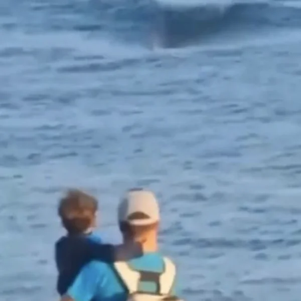 Ungewöhnliche Hai-Sichtung vor Spaniens Küste: Sechs-Meter-Riese sorgt für Aufregung