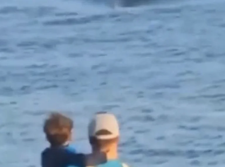 Ungewöhnliche Hai-Sichtung vor Spaniens Küste: Sechs-Meter-Riese sorgt für Aufregung