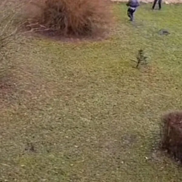 Messerattacke in Singen: Jugendlicher greift Passanten an und liefert sich Auseinandersetzung mit Polizei