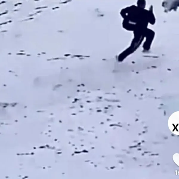 Fluchtversuch gescheitert: Fl&uuml;chtling will vor Abschiebung entkommen