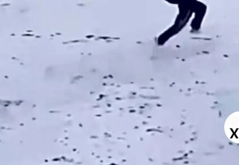 Fluchtversuch gescheitert: Flüchtling will vor Abschiebung entkommen