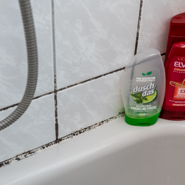 Schock im Bad: Dieser Trick entfernt Schimmel aus der Dusche &ndash; f&uuml;r immer!