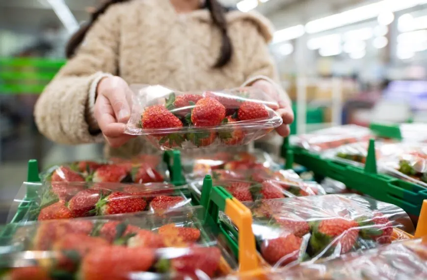 Warum Erdbeeren im Frühling ein Risiko sein können