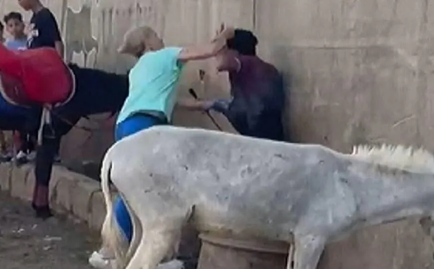 Touristin wird nach mutigem Einsatz für Tierwohl in Ägypten gefeiert – und steht nun vor rechtlichen Folgen