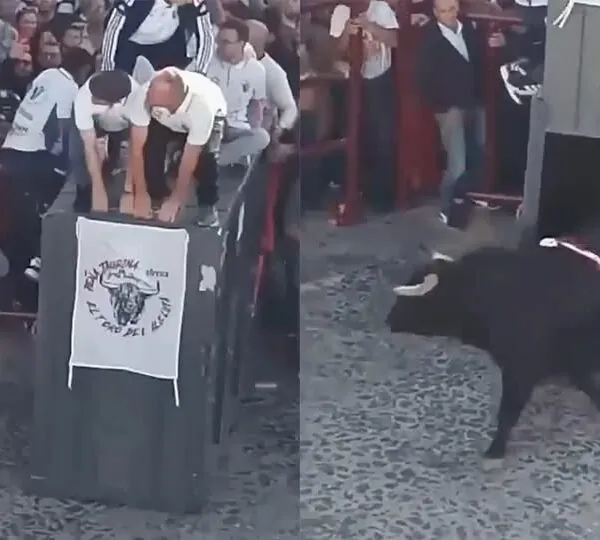 Chaos beim Stierrennen: 600-Kilo-Bulle durchbricht Sicherheitszaun in Spanien