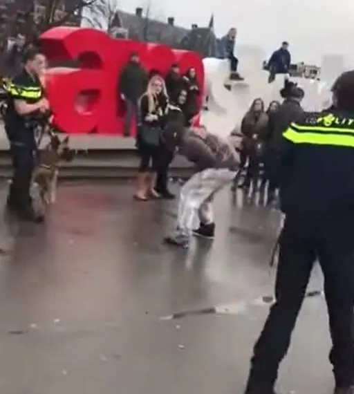 Mann provoziert Polizeihund und bekommt sofort die Quittung