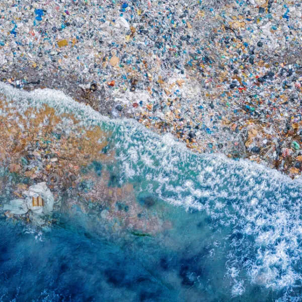 Plastik bis in die Tiefsee: Forscher schlagen Alarm nach erschreckendem Fund im Mittelmeer