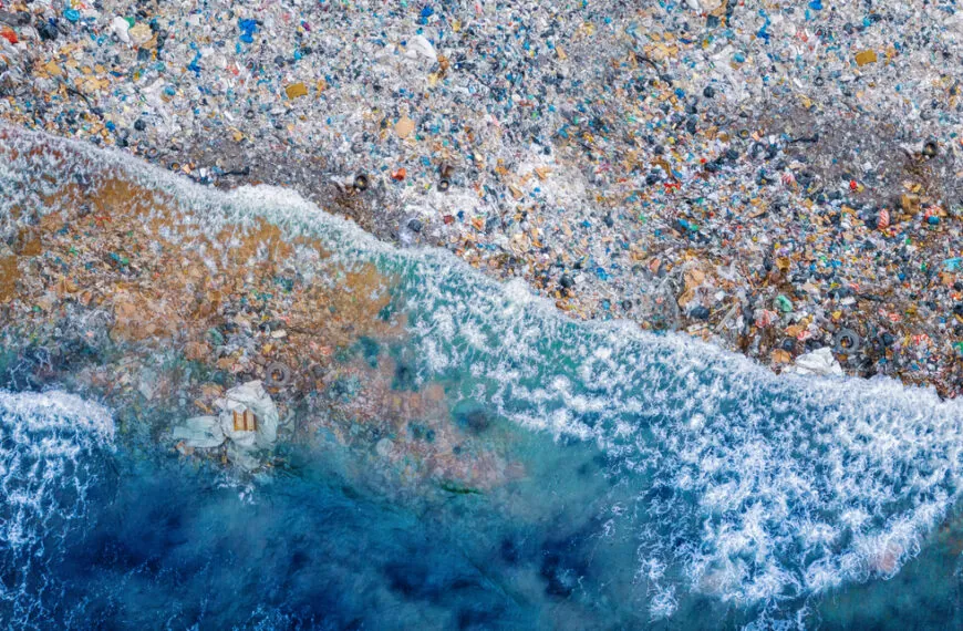 Plastik bis in die Tiefsee: Forscher schlagen Alarm nach erschreckendem Fund im Mittelmeer