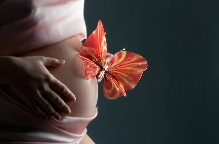Achtung! Wenn du diesen Schmetterling am Kinderbett siehst, frag niemals die Eltern