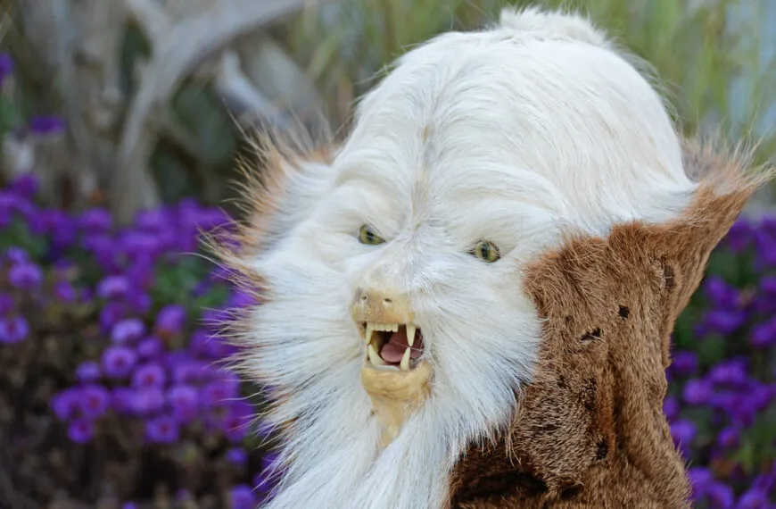 Unglaublich kurios: Diese Tiere wirken wie von einem anderen Stern!