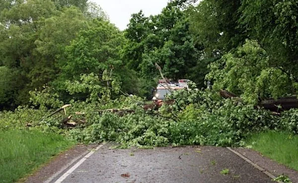 Unwetter wüten über Deutschland: Verletzte, Stromausfälle und Festival-Unterbrechungen