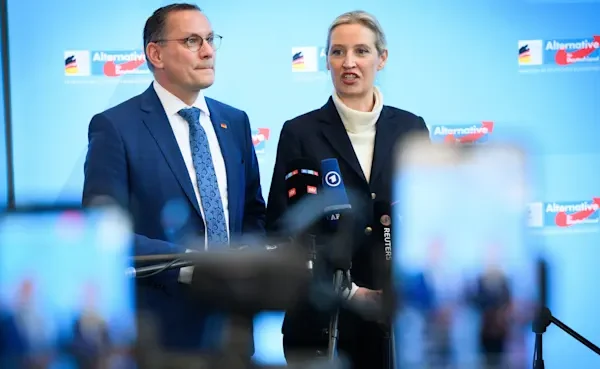 AfD offiziell als rechtsextreme Partei eingestuft – Das sind die Gründe