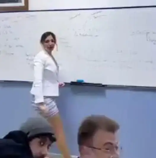 Türkische Lehrerin im Netz unter Beschuss – und im Fokus einer viel größeren Debatte