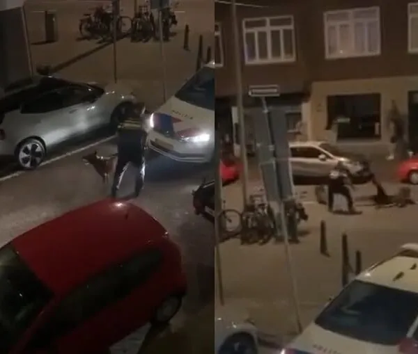 Düsseldorf: Polizei greift mit Diensthund ein – brisante Szenen am Rheinufer sorgen für Diskussionen