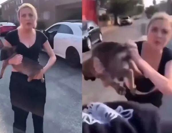 Ein Hund ist keine Nebensache &ndash; es ist eine Lebensentscheidung