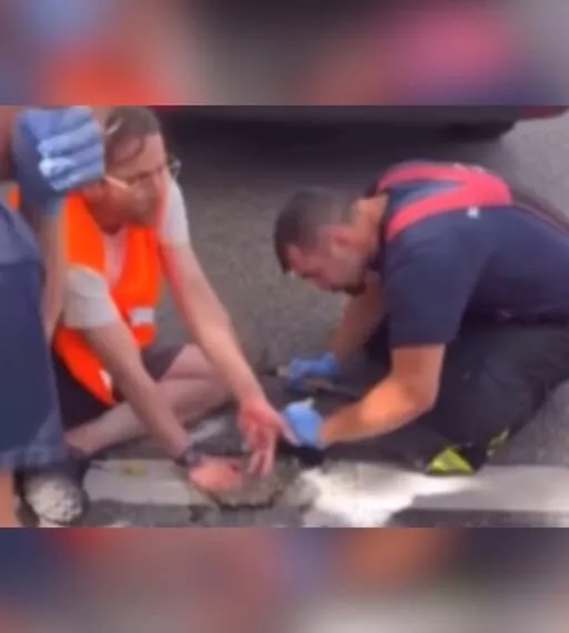 Wenn Protest weh tut: Wie sich Klimaaktivisten selbst in die Enge treiben