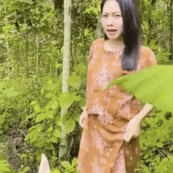 Plant sieht eine Chance und einen vergebenen W&uuml;rfel