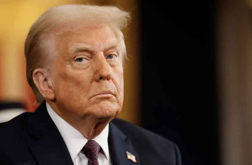 Donald Trump im Interview: Neue Impulse für die internationale Debatte über Europa und Sicherheit