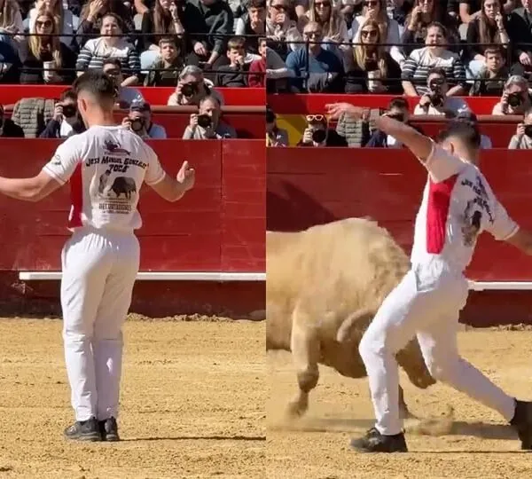 Der Stier dreht den Spieß um – Matador erlebt unerwartete Lektion