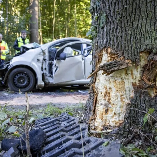 Citroën kracht gegen Baum – Fahrer stirbt noch im Krankenhaus, Polizei bittet dringend um Hinweise