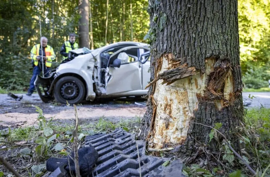 Citroën kracht gegen Baum – Fahrer stirbt noch im Krankenhaus, Polizei bittet dringend um Hinweise