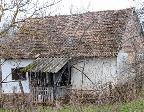 Die junge Familie ohne Geld für eine Wohnung kaufte ein vernachlässigtes Haus – und verwandelte es in ihr Traumheim
