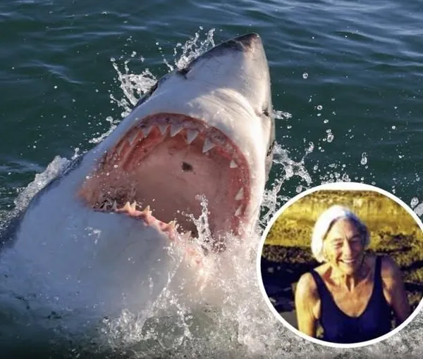 Schreckliche letzte Sekunden einer 77-j&auml;hrigen Gro&szlig;mutter, die von einem Hai verschlungen wurde