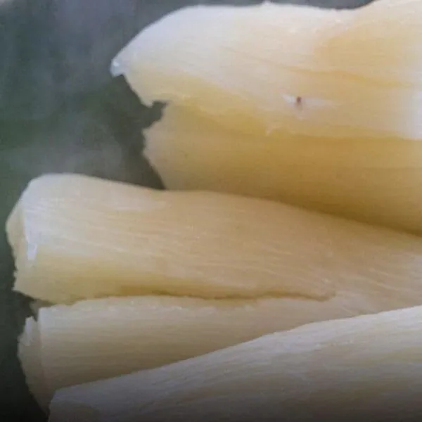 Die &bdquo;t&ouml;dlichsten Lebensmittel&ldquo; der Welt &ndash; jedes Jahr sterben hunderte Menschen daran