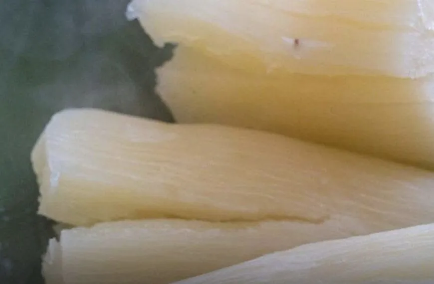 Die „tödlichsten Lebensmittel“ der Welt – jedes Jahr sterben hunderte Menschen daran