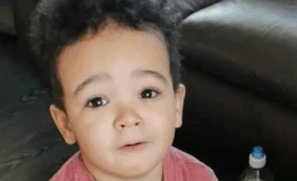 Leiche im Wald gefunden &ndash; m&ouml;glicherweise der seit vier Jahren vermisste Junge