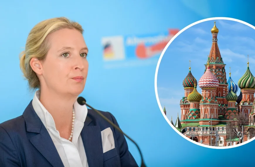 AfD-Schulpl&auml;ne sorgen f&uuml;r Aufregung &ndash; Zwischen Tradition, Tugend und politischer Panik