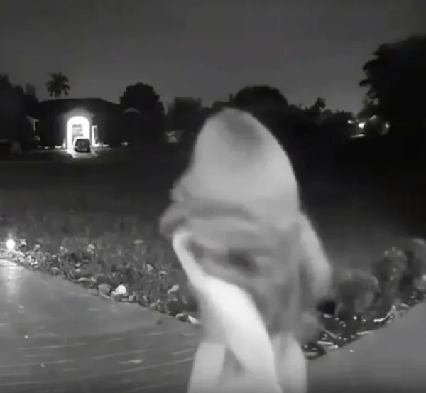 Eines ist sicher: Dieser Kunde hat sich richtig ausgetobt