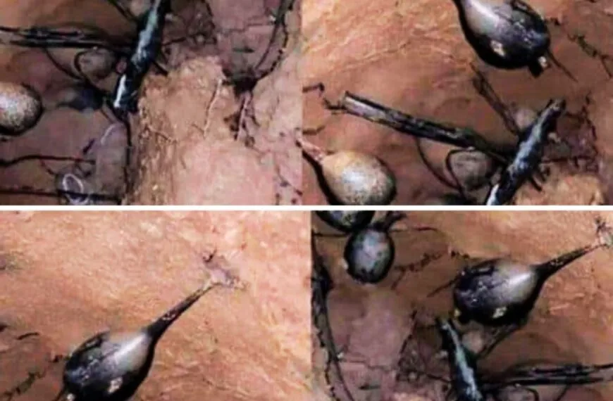 Ich grub im Wald &ndash; und entdeckte ein Nest, das alles ver&auml;nderte. Meine Freunde sagten, ich solle sofort wegrennen &hellip;