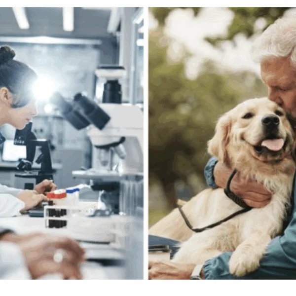 Warum manche Menschen 100 werden: Neue Studie entdeckt überraschende Blutwerte als Schlüssel zur Langlebigkeit