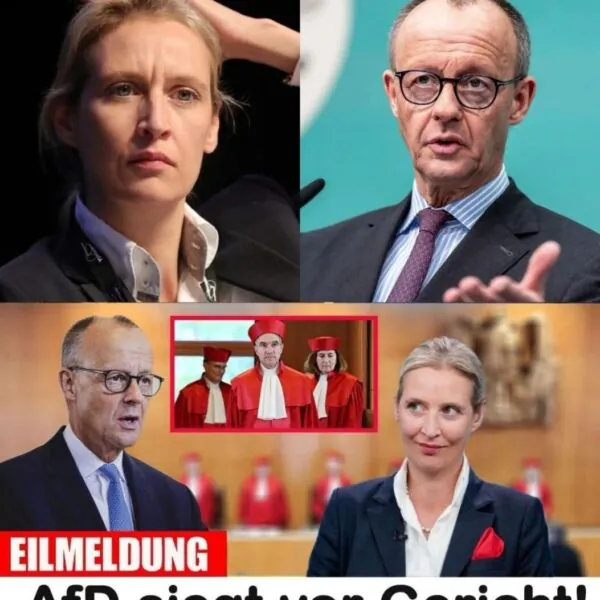 Das doppelte Beben: Gericht gibt der AfD recht, w&auml;hrend der Wagenknecht-Skandal Merz ins Chaos st&uuml;rzt &ndash; Was bedeutet das f&uuml;r die Zukunft der CDU und die Zerschlagung der Brandmauer? Wird dieser politische Erdrutsch das System f&uuml;r immer ver&auml;ndern?
