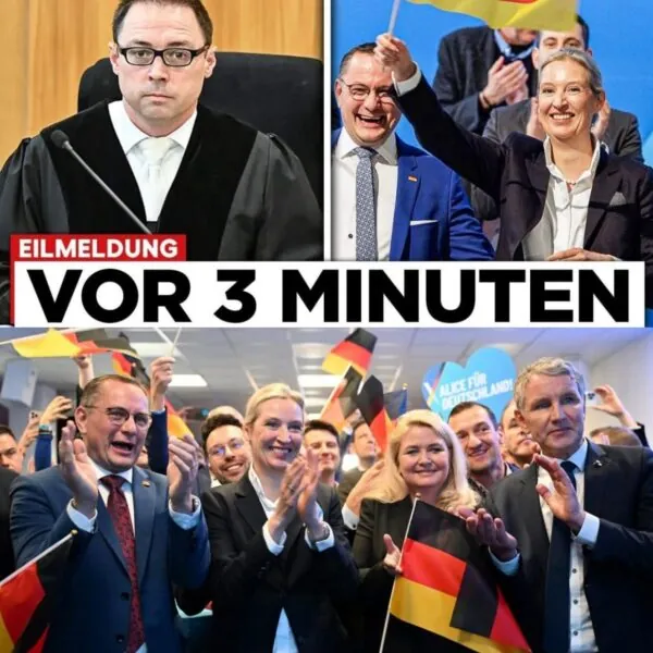 ES PASSIERT! Gericht macht Weg frei f&uuml;r die AfD &ndash; Berlin tobt