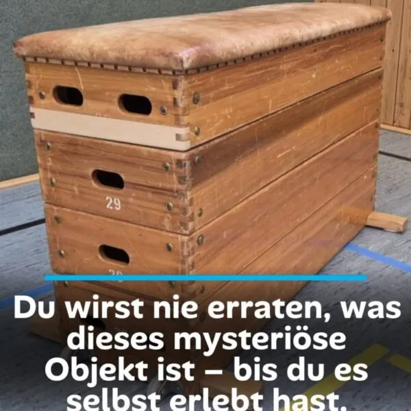 Das mysteriöse Objekt aus der Turnhalle – und warum fast jeder es kennt
